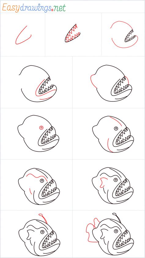 How To Draw A Angler Fish Step by Step .